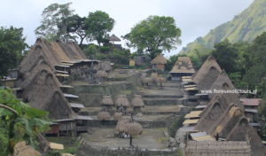 Bena village