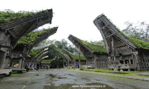 Explore Toraja