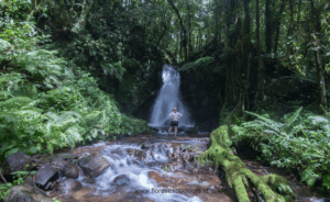 Komodo Flores adventure tours, Ranamese waterfall,Flores adventure tours