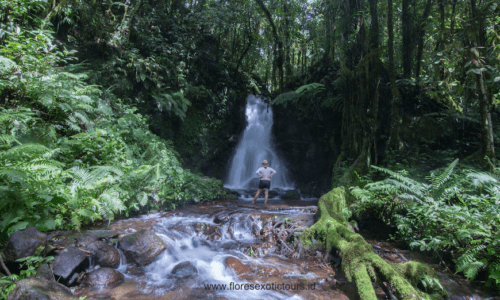 Komodo Flores adventure tours, Ranamese waterfall,Flores adventure tours
