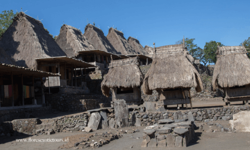Komodo Flores experience Tours, Bena village,Flores island tours