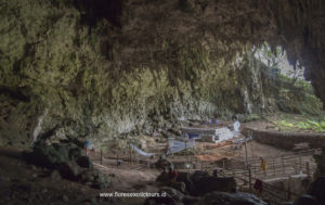 Liang Bua cave