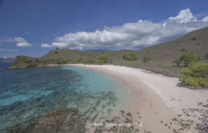 Pink Beach Komodo island
