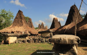 Sumba megalithic tours