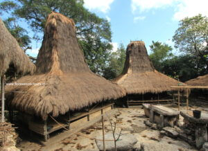 Sumba megalithic tours
