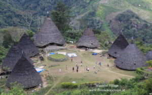 Wae Rebo Village