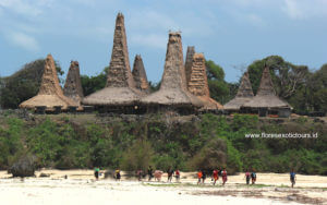 Hightlights of Sumba