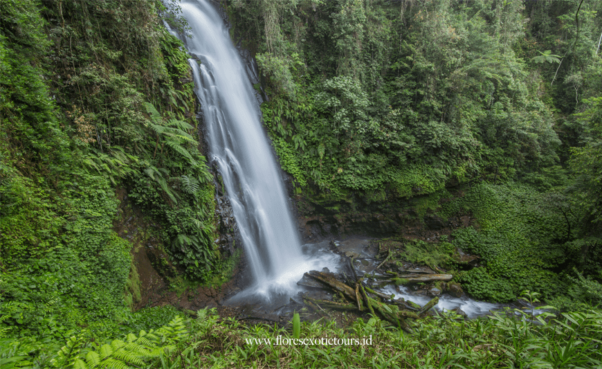 Cunca Rede Waterfall - Flores island