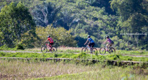 Flores adventure cycling
