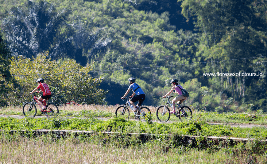 Flores adventure cycling