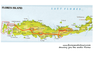 Map of Flores island